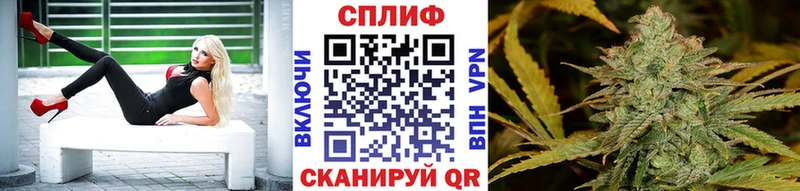 где продают   Ахтубинск  Шишки марихуана OG Kush 